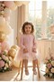 Pink Long Balloon Fabric Baby Girl Dress with Tutu at the Sleeve - Cinderella - 2