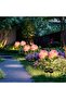 waterproof outdoor solar lights auto on/off decorative solar stake lights for yard patio pathway - 4