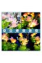 waterproof outdoor solar lights auto on/off decorative solar stake lights for yard patio pathway - 4