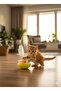 Zilli Cat Licking Stone Hacıyatmaz Toy – Furry Interactive Cat Entertainment and Activity Toy - 3