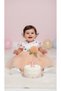 Baby Girl Special Day Tutu Dress - 2