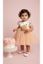 Baby Girl Special Day Tutu Dress