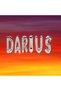 Balloon Set Name Darius, Silver, 40 cm