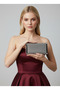 Anthracite Gray Platinum Full Crystal Stone and Metal Frame and Evening Dress Bag