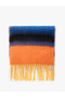 Multi-Colored Soft Textured Tassel Long Scarf - 2
