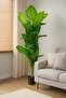 Artificial Dieffenbachia tree. 1.7 meters tall, ideal for offices and rooms as a decorative element. - 3