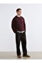 Lcw Vision Burgundy Crew Neck Bear Teddy Printed Men's Thick Sweatshirt - 2