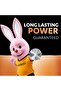 Lithium Coin Battery 3V, 4 Pieces (CR2032) - Child Resistant Packaging - 2