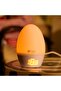 GroEgg2 Digital Colour Changing Room Thermometer and Night Light, USB Powered - 2