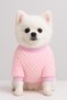 Plush Teddy Bear Dog and Cat Sweater – Your Little Friend's Winter Luxury Style!