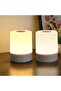 Dimmable Touch Control Night Light - Rechargeable LED Bedside Lamp with Remote & Timers (2 Pack)
