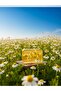 Natural Chamomile Soap 120 Gr - Cleansing, Chamomile Oil and Grain Soap for Oily Skin - 3