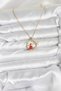 316L Steel Chain Gold Zircon Stone Christmas Theme Women's Necklace - 2