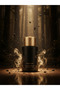 عطر ريتش وود عود أو دي بارفان 100 مل - 2