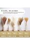 105 Pcs Natural Pampas Grass Decor, 17in/45cm Dried Flowers for Home Boho Decor - 3