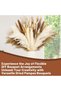 70 Pcs Pampas Grass Decor - Artificial Dried Flowers, Mixed Color - 5
