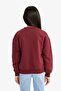 Relax Fit Crew Neck Printed Soft Fleece Inside Sweatshirt for Girls E6779A825Wn - 3
