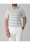 Italian Style S Slim Fit Polo Collar Striped Knitwear T-Shirt Gray T14050
