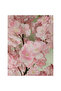 Cherry Blossom 120cm - 2
