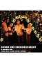 Ramadan Lights, Moon Star Fairy Hanging String Lights, 8 Modes - 3