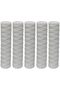 10 Inch Water Filter Replacement Cartridges, Pack of 5 (GAC), 5 Micron