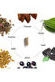 Dia Free Capsules 60 - 5