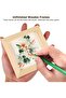10-Piece Unfinished Wood Picture Frames (12 x 12 cm) - 5