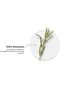 Brillaire Pure Rosemary Essential Oil 15 Ml - 4