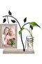 Wooden Photo Frame with Hydroponic Vase (4x6) - Home/Office Decor