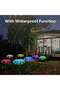 1 Set of 2 Solar Jellyfish Decorative Garden Lights, Colorful, Adjustable - 5