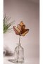 Autumn Leaf – Vitray Yaprak