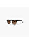 LINEA Brown 49 mm Round Sunglasses