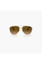William Titanium Polarized 59MM Brown Square Sunglasses - 0RB8097 - 4
