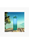 Double Wall Stainless Steel Insulated Water Bottle - 800 ml - 3