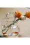 Shape Clear Vase | Glass Vases Fish Bowl Handmade Flower Vase, Shape Flower Vase, Unique Fish Tank F - 5
