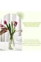 Thickened Clear Glass Vases Set of 2 Cone Vases (Transparent) - 5