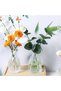 Glass Bud Vases Set of 4, Clear Vintage Embossed Mini Vases, Crystal White, 6.1 cm, Bud Shape - 7