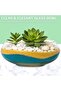 2-Pack Glass Vase Bowl, 6" & 8" Wide Mouth Clear Round Terrarium - 5