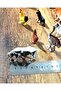 Farm Animals Figures Montessori Alphabet Teaching Animal Figures - 2