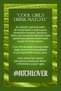 Cool Girls Drink Matcha Printed Crop T-Shirt – Modal Fabric, Stretchy and Comfortable, Women's T-Shirt - 5
