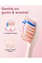 DY156 Electric Sonic Toothbrush for Adults with 3 Brush Heads, 5 Modes (Pink, M) - 6