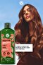 Favorite 2-Pack Damaged Hair / Repair Shampoo Set-9916962 - 3