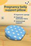 Pregnant Women Support Cushion/Pregnancy Pillow Blue - 2