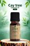 100% Pure Tea Tree Essential Oil 10 ml – Melaleuca Alternifolia Leaf Oil (Natural & Pure Content)