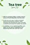 100% Pure Tea Tree Essential Oil 10 ml – Melaleuca Alternifolia Leaf Oil (Natural & Pure Content) - 3