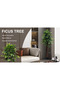 Artificial Ficus Tree 160cm Tall Fake Plant with Moss & Pot - 9