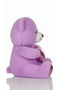 Teddy Bear Cute Shiny Series 35cm - Cute & Collectible - 2
