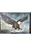 Kartal - 3