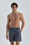 Gray Micro Medium Straight Swim Shorts