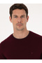 Claret Red Slim Fit Cotton Blend Crew Neck Sweater 50318676-Vr014 - 2